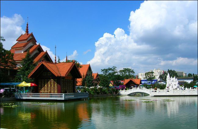 ��ȥ�����Ͳ軨  ����Ӧ���Ǵ��ε���ѡ���������ʻ�ʢ����&ldquo;�׵��ϻ��ܣ��Ƶ�һ����ɽ�衣&rdquo; �Թž���&ldquo;���ϲ軨�����£������軨������&rdquo;�ļѻ�������ɽ���������ʷ�ƾã�ÿ�����������£�����Ʒ��½�����ţ��������棬��Ϊ׳�ۡ�������������ȫ����Ʒζ����ĭ����ʫ�� &ldquo;���˶���ĵ���ã��ҵ�ĵ��������&rdquo;��  �淨��ʾ���Ͳ軨��̤��