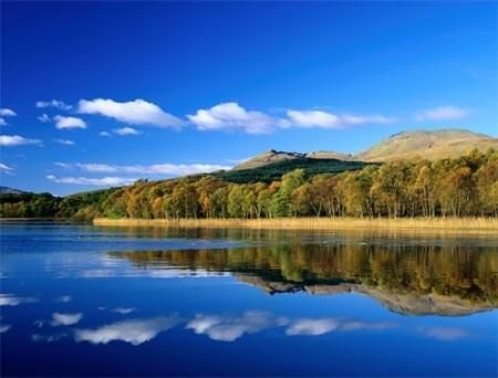 ��Ʒ������