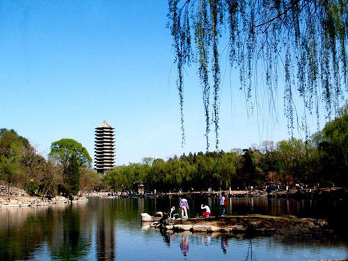 ��Ʒ������