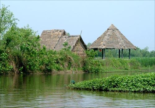 �������ֲ�