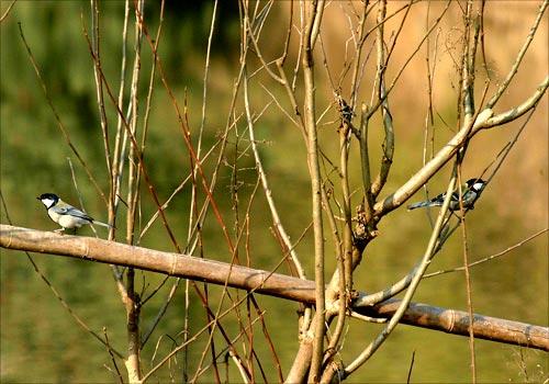 Ϻ��̲��̬������