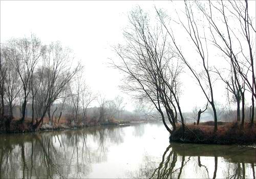 ʪ��ֲ�������