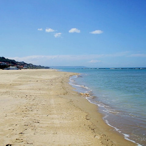 ��Ʒ������