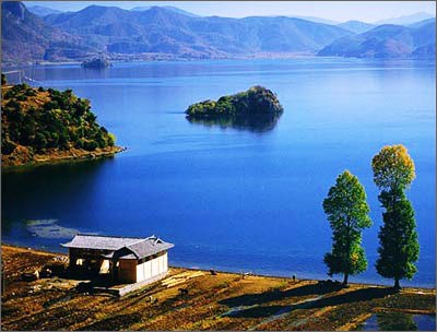 ��Ʒ������