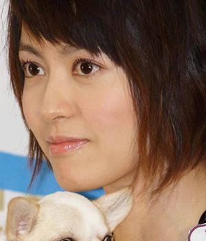 ��Ʒ������