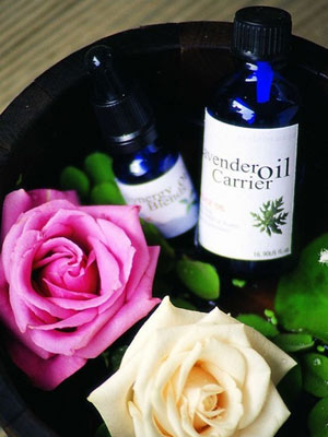  ���ܾ��� �����ö�������