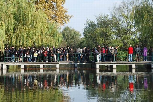 ��Ʒ������