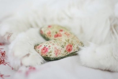 Ʒ