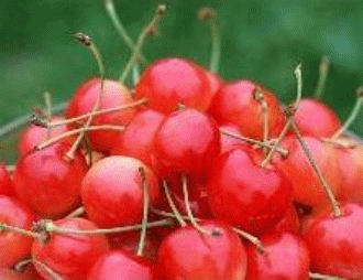 ��Ʒ������