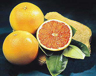 ��Ʒ������