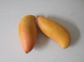 ��Ʒ������