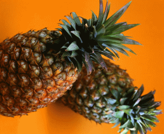 ��Ʒ������