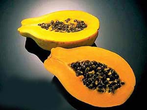 ��Ʒ������