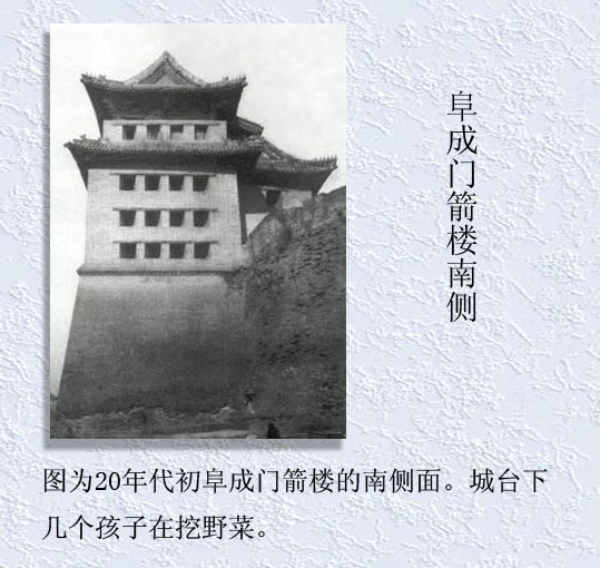  Ʒ