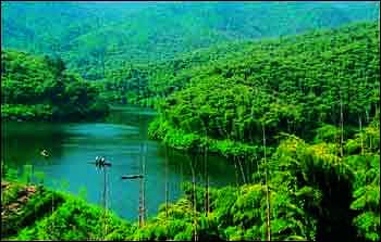 �Ƽ����㣺���簲��