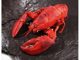 ��Ʒ������