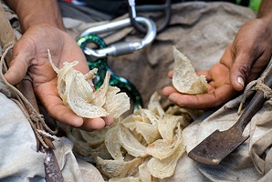 ��Ʒ������