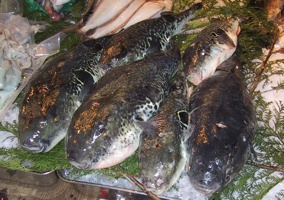 ��Ʒ������