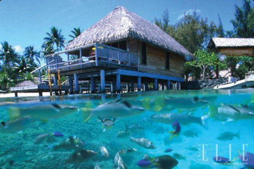 ��Ʒ������