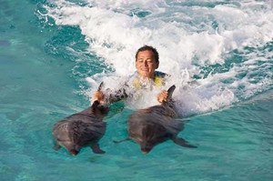 ��Ʒ������