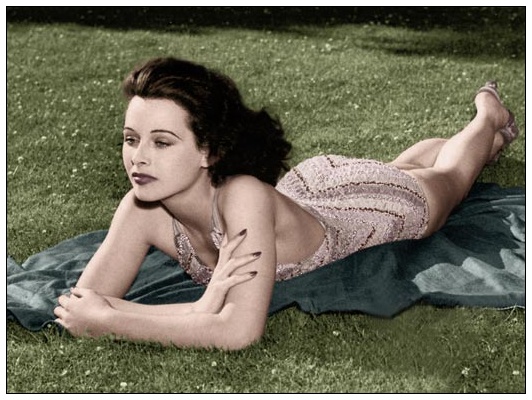 ��Ʒ������