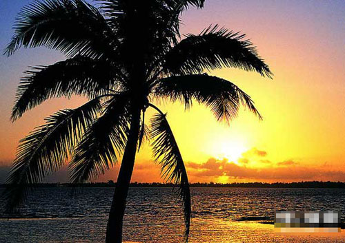 夕阳下的海棠湾