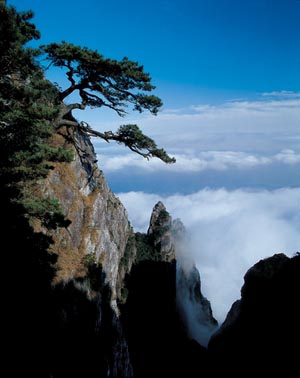 ��Ʒ������