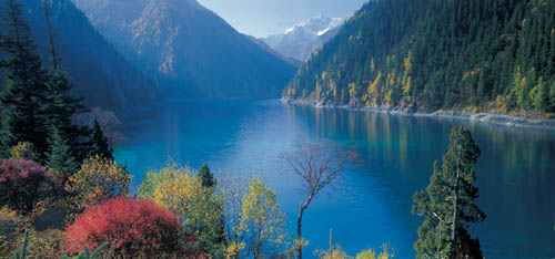 ��Ʒ������