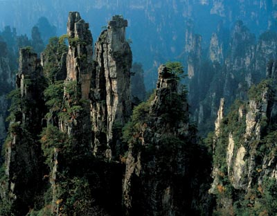 ��Ʒ������