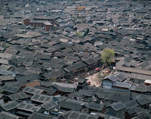 ��Ʒ������