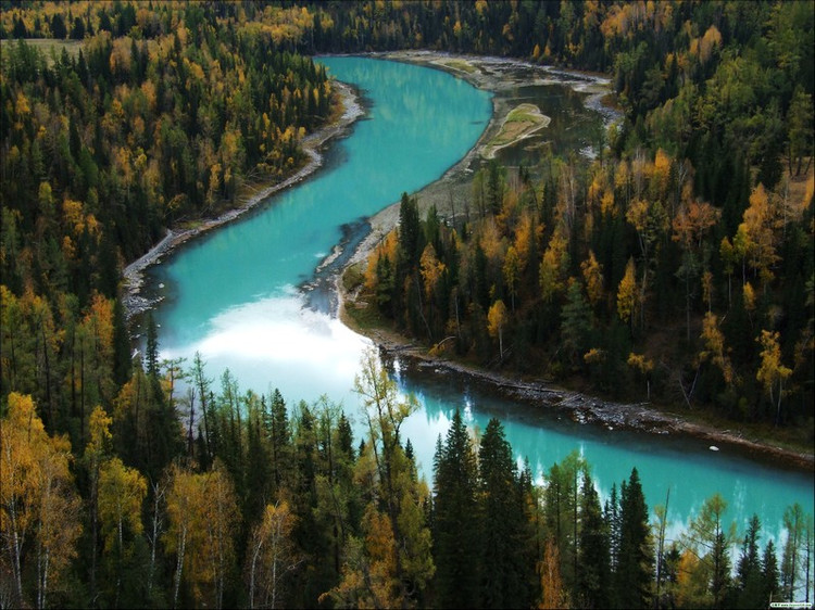 精品消费网 精品消费网