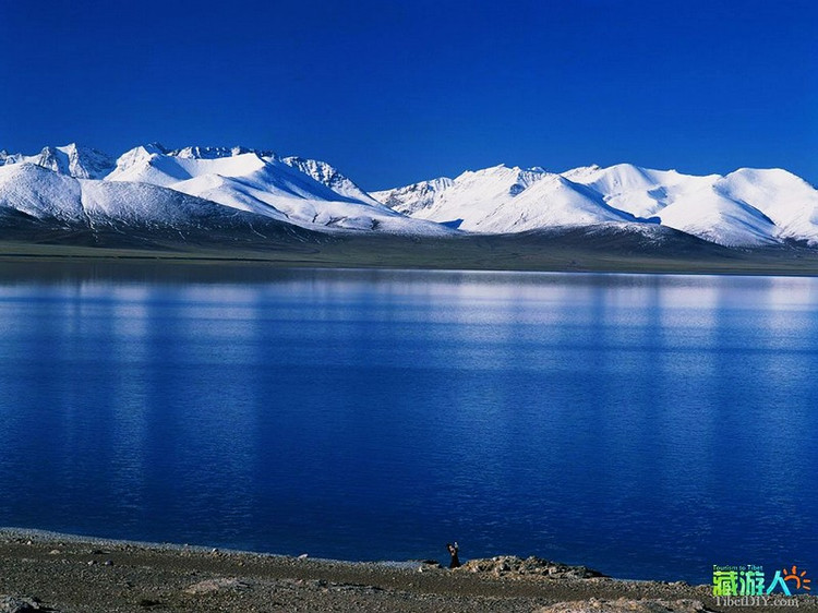 精品消费网 精品消费网