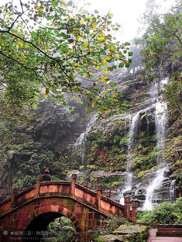 精品消费网 精品消费网