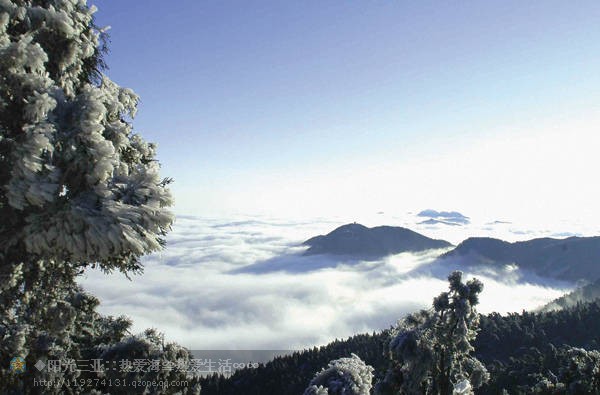 精品消费网 精品消费网