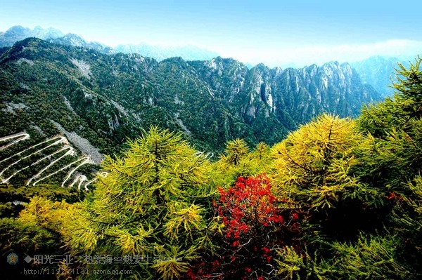 精品消费网 精品消费网