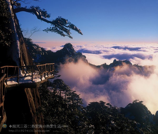 ��Ʒ������