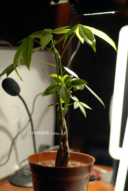 ��Ʒ������