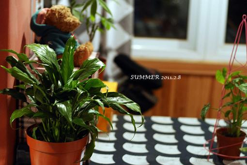 ��Ʒ������