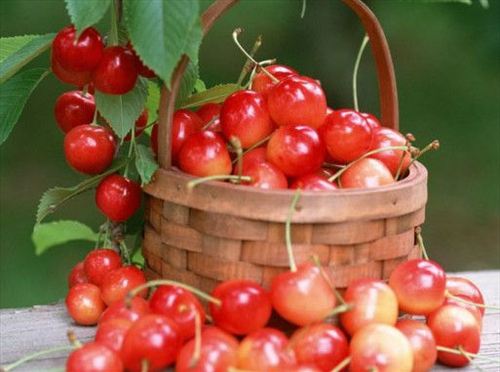 ��Ʒ������