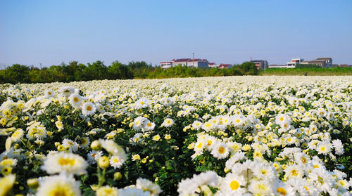 ��Ʒ������