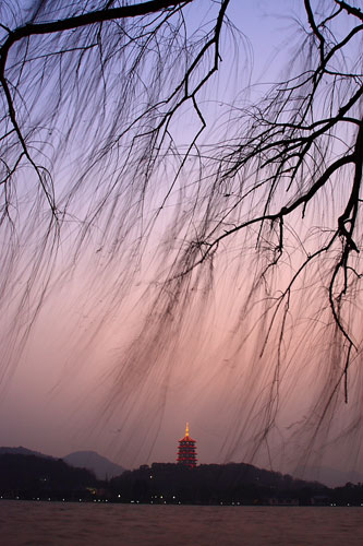 ��Ʒ������