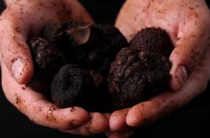 ��Ʒ������