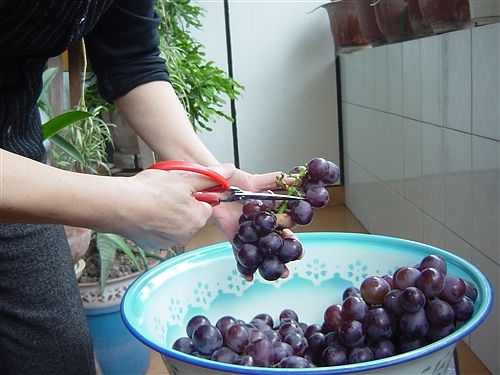 ��Ʒ������