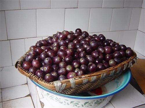 ��Ʒ������