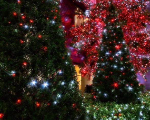 Ʒ