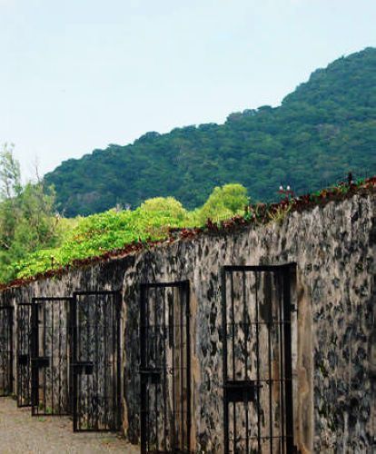 ��Ʒ������