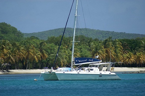 ��Ʒ������