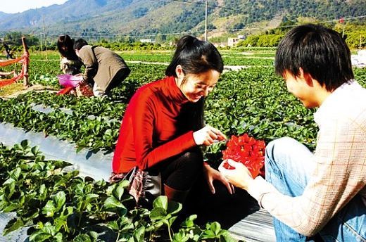 ��Ʒ������