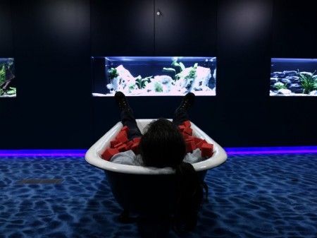 ��Ʒ������