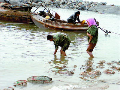 ��Ʒ������